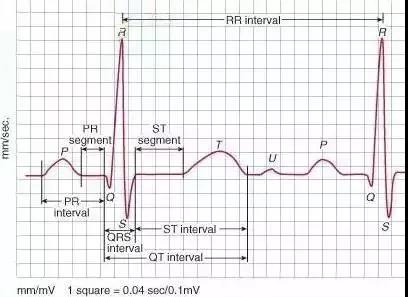 每年必考！临床执业医师技能考试心电图记忆口诀