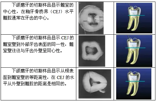 1736393774211093.jpg 18484bf254db9548f770416ebdfe5e86.jpg